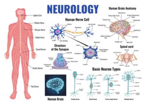 Best Neurology Doctor in Delhi - Dr Manoj Khanal